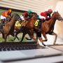 Reliability of equine racing on-line betting systems